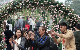 Những lễ hội hoa gây thất vọng, khách Việt chê "treo đầu dê, bán thịt chó"