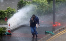 Hong Kong 'tê liệt' vì bão Hato