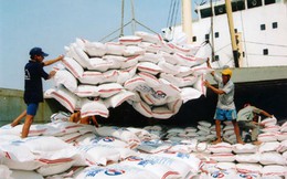 Xuất khẩu gạo nếp sang Trung Quốc có dấu hiệu chững lại
