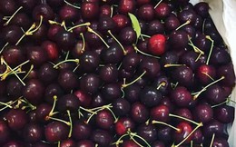 Nghi ngại nguồn gốc quả cherry giá rẻ “giật mình”
