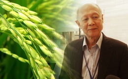 Giáo sư về an ninh lương thực của Singapore giải thích lý do thực phẩm biến đổi gen gây tranh cãi