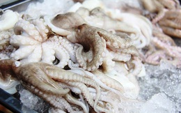 Xuất khẩu mực, bạch tuộc sang thị trường Hàn Quốc nhiều triển vọng
