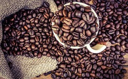 Chuyên gia dự báo giá cà phê arabica sẽ tiếp tục tăng trong các tháng cuối năm