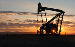 Dầu khí đá phiến đe dọa thỏa thuận cắt giảm sản lượng của OPEC
