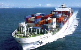 Lỗ hơn trăm tỷ quý 4, Công ty Vận tải và Thuê tàu biển Việt Nam đã âm vốn chủ sở hữu gần 500 tỷ đồng