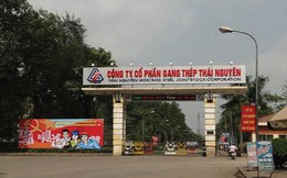 Sau khi mua thép Việt Ý, công ty Thái Hưng vừa trở thành cổ đông lớn của Gang thép Thái Nguyên