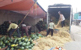 Xuất khẩu rau quả Việt Nam chiếm chưa tới 1% thị phần thế giới