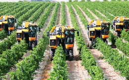 Đề xuất tạo điều kiện thuận lợi cho các doanh nghiệp đầu tư vào nông nghiệp