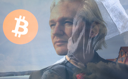 Bất đắc dĩ phải đầu tư vào bitcoin vì bị cấm vận, nhà sáng lập Wikileaks thắng lớn với mức tăng trưởng 50.000%