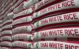 Xuất khẩu gạo Việt chịu thêm sức ép khi Thái Lan xả bán gạo tồn kho