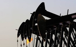 Nhiều mối nghi ngại về triển vọng của ngành dầu khí thế giới