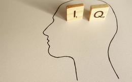 Lịch sử của chỉ số IQ, và tại sao việc áp dụng những bài kiểm tra IQ vẫn còn gây tranh cãi