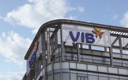 Vợ một sếp lớn VIB dự chi hơn 30 tỷ để mua 1,4 triệu cổ phiếu ngân hàng