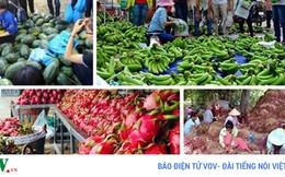 Vì sao hoa quả Việt thất thế trước “cơn lốc” hàng nhập ngoại?