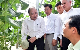 Thủ tướng: Chính phủ luôn ủng hộ cách làm nông nghiệp công nghệ cao
