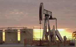 Giá dầu quay đầu tăng do tồn kho ở Mỹ được dự báo giảm