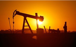 Giá dầu phục hồi mạnh do nhu cầu tăng