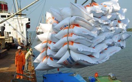 Thận trọng bỏ thầu 250.000 tấn gạo tại Philippines