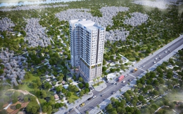 ĐHĐCĐ DRH: Kiên quyết từ bỏ kinh doanh phân bón, mua và làm hồi sinh hàng loạt dự án BĐS