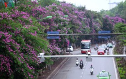 Cấm ô tô đi đường Kim Mã trong thời gian thi công tuyến Metro Nhổn-ga Hà Nội?
