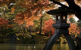 10 địa danh ngắm lá vàng mùa thu tuyệt đẹp ở Nhật Bản