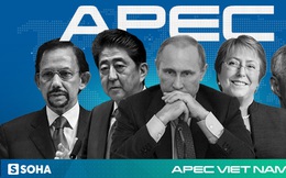 Những nhà lãnh đạo nào từng hai lần tham dự Hội nghị APEC ở Việt Nam?