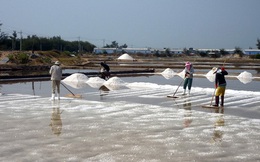Muối Ninh Thuận được giá nhưng mất mùa