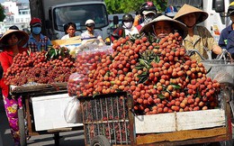 Kỷ lục mới: Rau quả mang về 3,5 tỉ USD cho Việt Nam