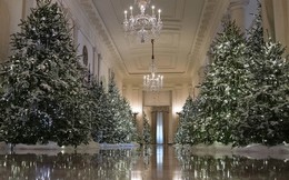 Nhà Trắng lộng lẫy đón Giáng sinh đầu tiên dưới thời Tổng thống Trump