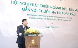 ‘Gỡ rối’ ngành điều Việt Nam và tham vọng 3 tỷ USD