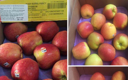 Nghi ngại táo Mỹ giá chỉ 44 nghìn đồng/kg