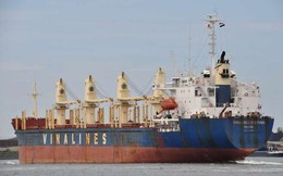 Vinalines bán tàu không thu hồi đủ vốn đầu tư nhằm cắt lỗ kéo dài