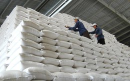 Bổ sung 553 tỷ đồng mua bù gạo dự trữ quốc gia