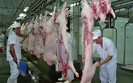 Nguồn cung thịt lợn toàn cầu dự báo tăng