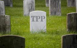 Bức tranh thương mại toàn cầu hậu TPP