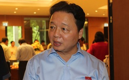 Bộ trưởng Trần Hồng Hà: 'Sự cố ở nhà máy Formosa không nguy hiểm'