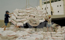Việt Nam sẽ cung cấp 1 triệu tấn gạo cho Bangladesh mỗi năm