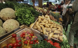 FAO: Nhu cầu lương thực toàn cầu sẽ tăng chậm lại trong 10 năm tới