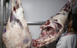 Mỹ ngừng nhập khẩu thịt bò tươi từ Brazil vì vấn đề vệ sinh