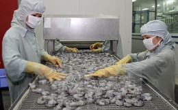 Australia nới lỏng lệnh cấm nhập khẩu tôm, sản phẩm từ tôm