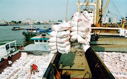 Dự kiến xuất khẩu vượt mục tiêu 400 nghìn tấn gạo