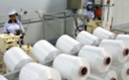 PVN và Vinatex phối hợp tiêu thụ xơ sợi của Nhà máy Xơ sợi Đình Vũ