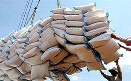 Điều kiện xuất khẩu gạo vẫn nặng tính hành chính?