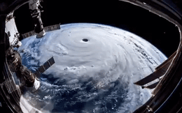Siêu bão Trà Mi đổ bộ Nhật Bản, đã có 2 trường hợp tử vong