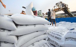 Thị trường xuất khẩu gạo "mở" thế nào sau Nghị định mới?