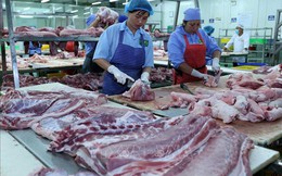 Thị trường cuối năm không lo thiếu thịt lợn