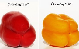Cách chọn trái cây tươi ngon bạn nên biết