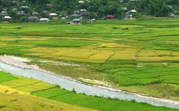 Thủ tướng đồng ý chuyển hơn 400ha đất trồng lúa sang đất phi nông nghiệp