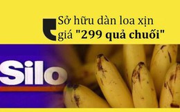 Dùng "tiếng lóng" quảng cáo dàn loa giá “299 bananas”, khách hàng "nghiêm túc" mang 11.000 quả chuối thật đến đổi khiến chuỗi điện máy lỗ nặng