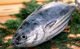 Philippines tăng cường nhập khẩu cá ngừ của Việt Nam